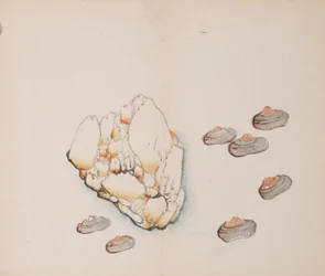 Seite aus Shi Zhu Zhai