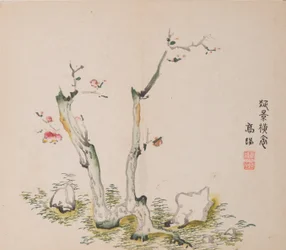 Seite aus Shi Zhu Zhai
