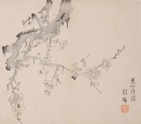Seite aus Shi Zhu Zhai