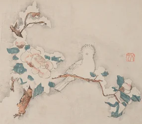 Seite aus Shi Zhu Zhai