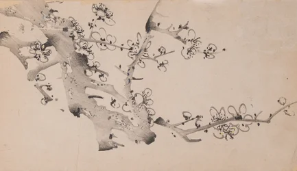 Seite aus Shi Zhu Zhai