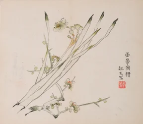 Seite aus Shi Zhu Zhai