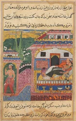 Seite aus den Geschichten eines Papageis Tuti-nama: Achte Nacht: Der Bauer, Vater des Sohnes..., 1558-1560