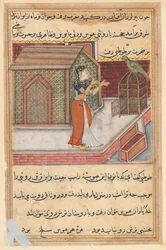 Seite aus Geschichten eines Papageis Tuti-nama: Neunundvierzigste Nacht: Der Papagei spricht Khujasta an..., ca. 1560
