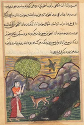 Seite aus Geschichten eines Papageis Tuti-nama: Sechzehnte Nacht: Die Schwiegertochter..., ca. 1560