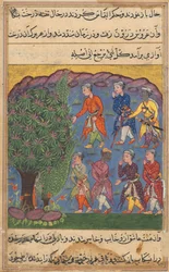 Seite aus Geschichten eines Papageis Tuti-nama: Sechste Nacht: Sieben Männer streiten um den Besitz, ca. 1560