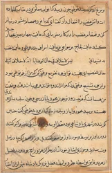 Seite aus den Geschichten eines Papageis Tuti-nama: Textseite, ca. 1560