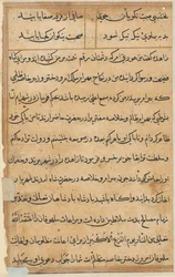 Seite aus Geschichten eines Papageis Tuti-nama: Textseite, ca. 1560