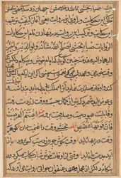 Seite aus Geschichten eines Papageis Tuti-nama: Textseite, ca. 1560