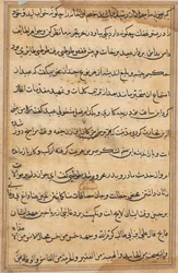 Seite aus Geschichten eines Papageis Tuti-nama: Textseite, ca. 1560