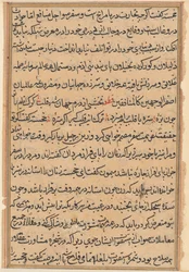 Seite aus Geschichten eines Papageis Tuti-nama: Textseite, ca. 1560