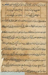 Seite aus Geschichten eines Papageis (Tuti-nama): Textseite (ca. 1560)