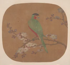 Papagei auf blühendem Baumzweig