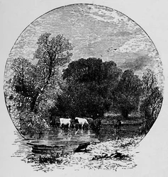 Frieden und Wohlstand, 1883