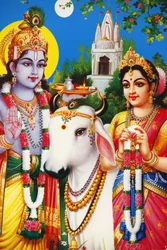 Bild der hinduistischen Götter Radha & Krishna, Indien