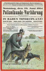 Vorführung von Polizeihunden in Baden, 1914