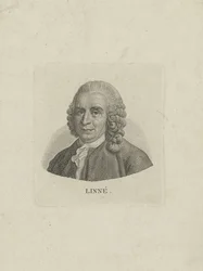 Porträt von Carl Linnaeus