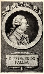 Porträt des Zoologen und Botanikers Peter Simon Pallas 1741-1811, frühes 19. Jahrhundert