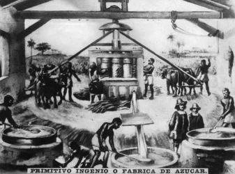 Primitive Einfallsreichtum, 16. Jahrhundert, 1920er Jahre