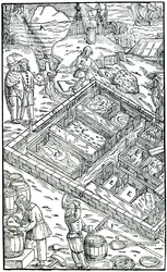Salzgewinnung durch Verdunstung von Meerwasser in Salinen, 1556