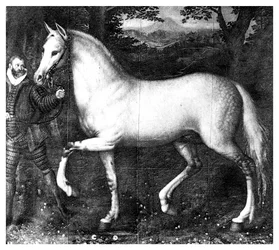 Das Pferd von Königin Elizabeth I.