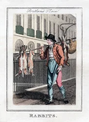 Kaninchen, Portland Place, London, 1805