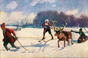 Rentierschlittenfahrt in Schweden, um 1928