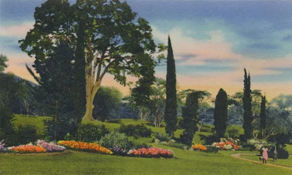 Felsengarten, Trinidad, B.W.I., ca. 1940er