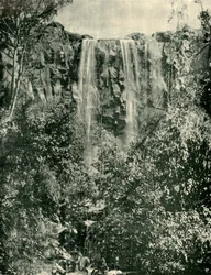 Sailors Creek Wasserfälle, Daylesford, 1901