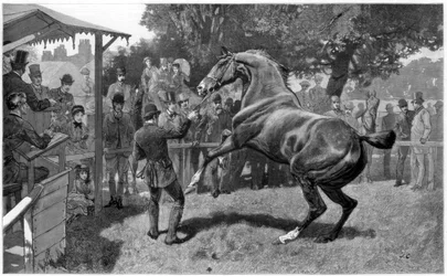 Verkauf von Jägern, Einwand erheben, 1885