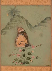 Schmetterling (Indische Miniatur, 17. Jh.)