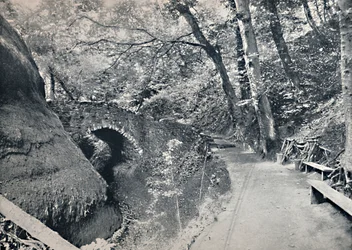Shanklin - Die Schlucht, 1895
