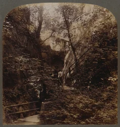 Shanklin Chine von weltweiter Berühmtheit, Isle of Wight, England, um 1910
