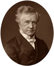 Sir Robert Lush, Richter des High Court of Justice, 1881