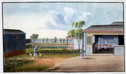 Teesortierung, 19. Jahrhundert