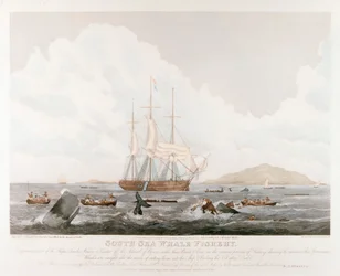 Südsee-Walfang, 1825