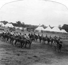 Sporttag in Narsampet, Indien, 1905