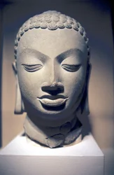 Steinkopf von Buddha, Gupta, Indien, 5. Jahrhundert