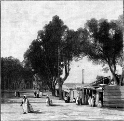 Straßenszene mit Pompeys Säule in der Ferne, Alexandria, Ägypten, 1900