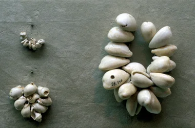 Schnüre aus Kaurimuscheln
