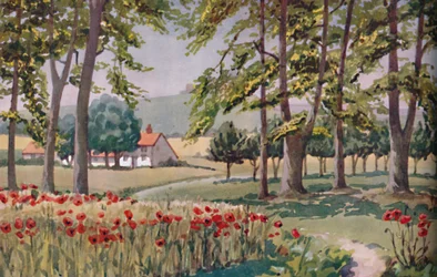 Sommer - Die physischen, chemischen und biologischen Veränderungen durch die Sonne im Laufe des Jahres, 1935