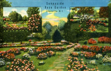 Sunnyside Rosengarten, Charlotte, N.C., 1942