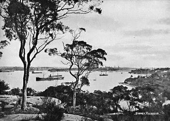 Sydney Harbour, von Cremorne Point, um 1900
