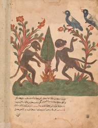 Die Vögel und die Affen mit dem Glühwürmchen, Folio aus einem Kalila wa Dimna, 18. Jahrhundert