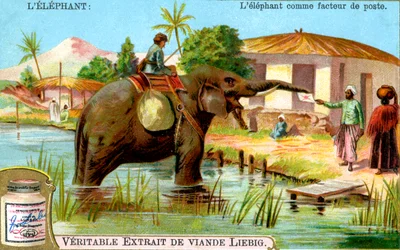 Der Elefant als Postbote, ca. 1900