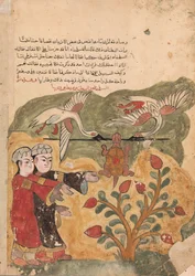 Die Flucht der Schildkröte, Folio aus einem Kalila wa Dimna, 18. Jahrhundert