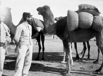 Die französische Fremdenlegion bei Manövern, Boudenib, Marokko, 1911