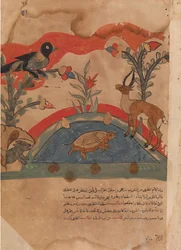 Die Gazelle wird Freunde mit der Krähe, der Maus und der Schildkröte