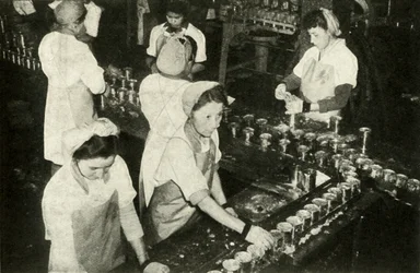 Die große Lachsindustrie - Indianermädchen arbeiten in der Konservenabteilung