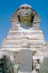 Die Große Sphinx von Gizeh, Gizeh-Plateau, Ägypten